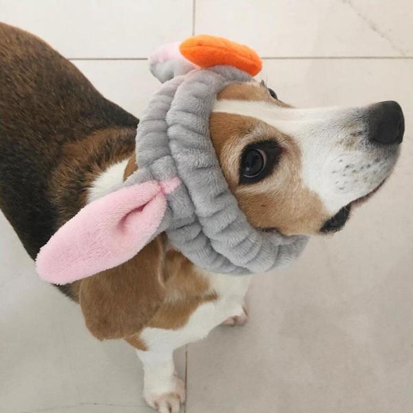 hospedagemlapaairbnb